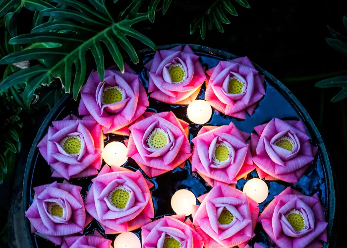 Resort Jaya House River Park Siem Reap